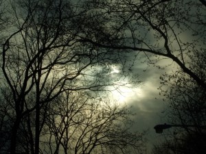 silence on day that darkens