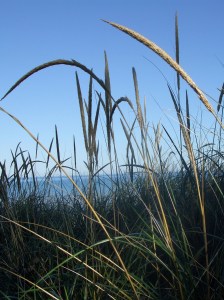 place where prayer comes