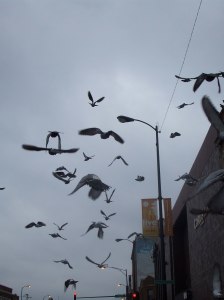 fire-hydrant funeral