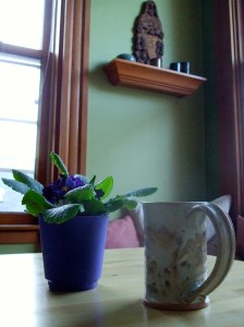 nook i've come to love