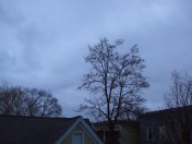 nose pressed to the window