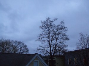 nose pressed to the window