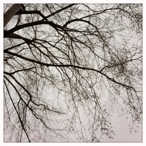 the tale of brother lawrence