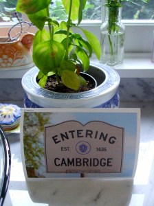 entering cambridge kitchen