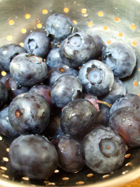 fat and sassy blueberries