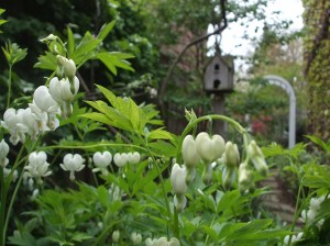 tender are the hours. spring.