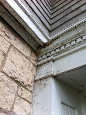 but instead they chose their hatchery here...