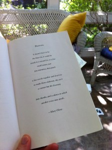 mary oliver poem
