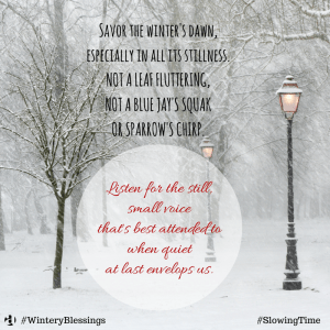 Meme-SavorWintersDream