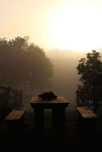 2437d6_c2c10c041a844be69d9ed4716cf0a68b