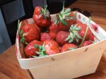 strawberry basket